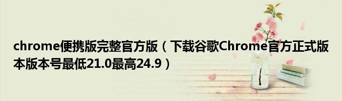 chrome便携版完整官方版（下载谷歌Chrome官方正式版本版本号最低21.0最高24.9）