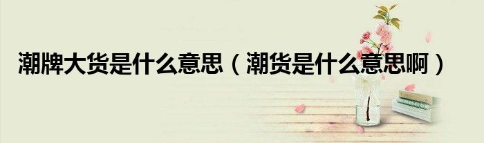 潮牌大货是什么意思（潮货是什么意思啊）