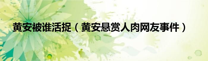 黄安被谁活捉（黄安悬赏人肉网友事件）