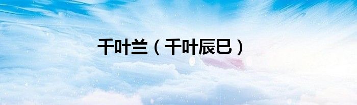 千叶兰（千叶辰巳）