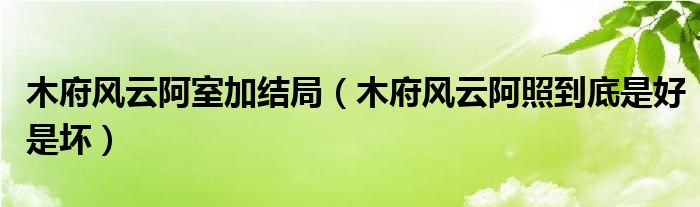 木府风云阿室加结局（木府风云阿照到底是好是坏）