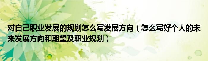 对自己职业发展的规划怎么写发展方向（怎么写好个人的未来发展方向和期望及职业规划）