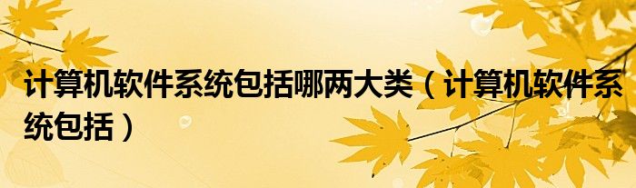 计算机软件系统包括哪两大类（计算机软件系统包括）