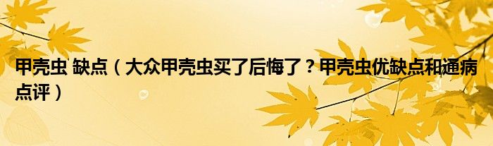 甲壳虫 缺点（大众甲壳虫买了后悔了？甲壳虫优缺点和通病点评）