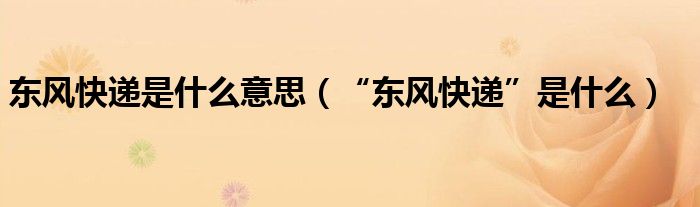 东风快递是什么意思（“东风快递”是什么）