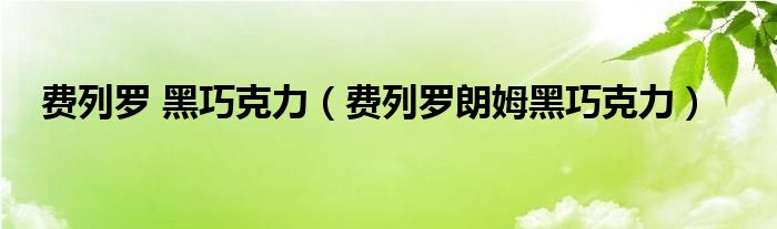 费列罗 黑巧克力（费列罗朗姆黑巧克力）