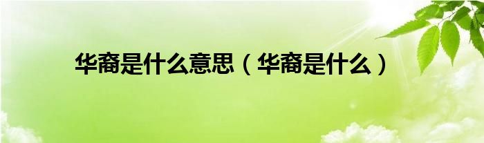 华裔是什么意思（华裔是什么）