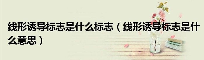 线形诱导标志是什么标志（线形诱导标志是什么意思）