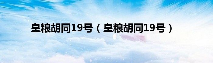 皇粮胡同19号（皇粮胡同19号）