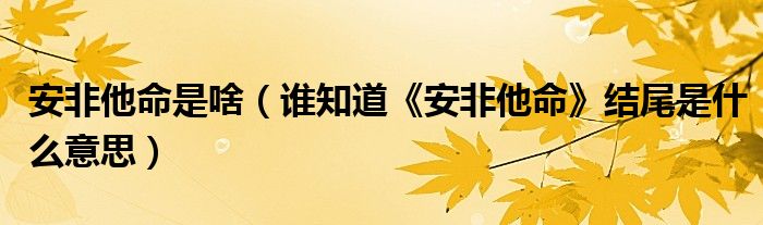 安非他命是啥（谁知道《安非他命》结尾是什么意思）