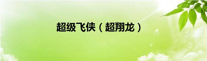 超级飞侠（超翔龙）