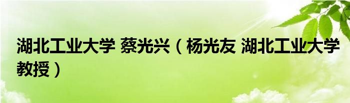 湖北工业大学 蔡光兴（杨光友 湖北工业大学教授）