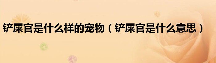 铲屎官是什么样的宠物（铲屎官是什么意思）