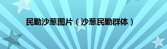 民勤沙葱图片（沙葱民勤群体）