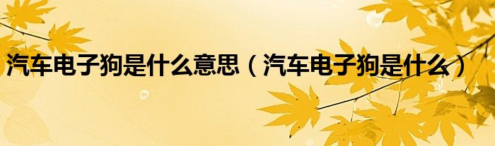 汽车电子狗是什么意思（汽车电子狗是什么）