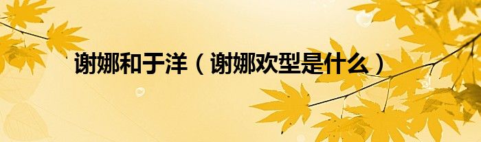 谢娜和于洋（谢娜欢型是什么）