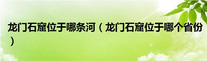 龙门石窟位于哪条河（龙门石窟位于哪个省份）