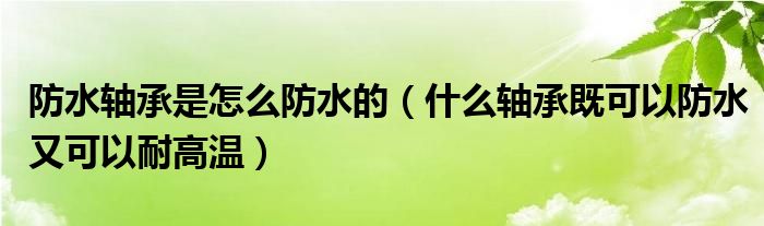 防水轴承是怎么防水的（什么轴承既可以防水又可以耐高温）