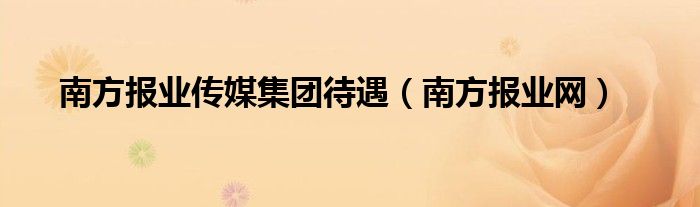 南方报业传媒集团待遇（南方报业网）