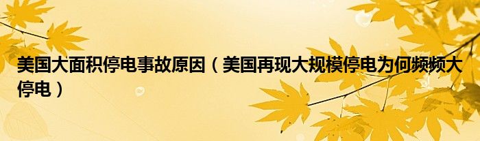 美国大面积停电事故原因（美国再现大规模停电为何频频大停电）