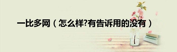 一比多网（怎么样?有告诉用的没有）