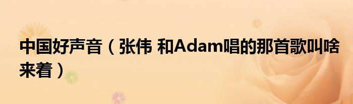 中国好声音（张伟 和Adam唱的那首歌叫啥来着）
