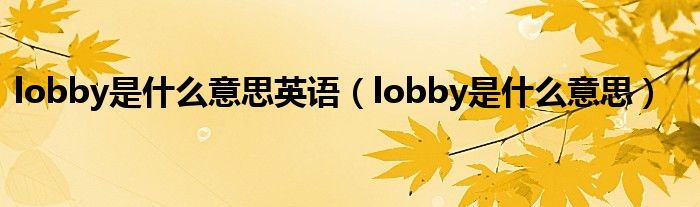 lobby是什么意思英语（lobby是什么意思）