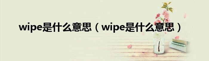 wipe是什么意思（wipe是什么意思）