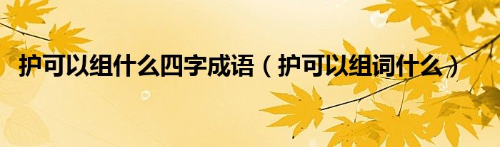 护可以组什么四字成语（护可以组词什么）