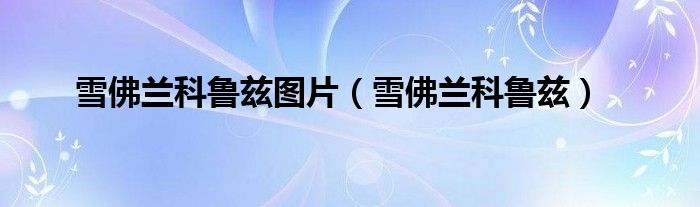 雪佛兰科鲁兹图片（雪佛兰科鲁兹）