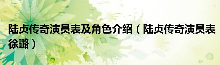 陆贞传奇演员表及角色介绍（陆贞传奇演员表徐璐）