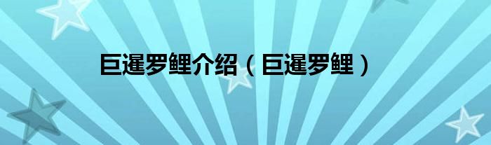 巨暹罗鲤介绍（巨暹罗鲤）