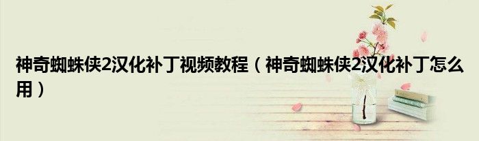 神奇蜘蛛侠2汉化补丁视频教程（神奇蜘蛛侠2汉化补丁怎么用）