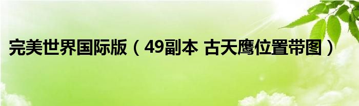 完美世界国际版（49副本 古天鹰位置带图）