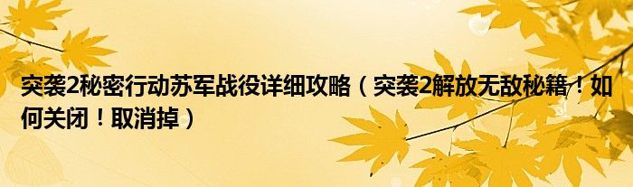 突袭2秘密行动苏军战役详细攻略（突袭2解放无敌秘籍！如何关闭！取消掉）