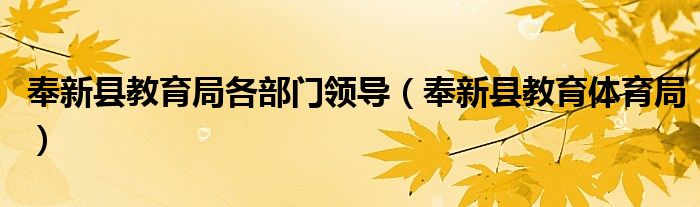 奉新县教育局各部门领导（奉新县教育体育局）