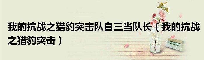 我的抗战之猎豹突击队白三当队长（我的抗战之猎豹突击）