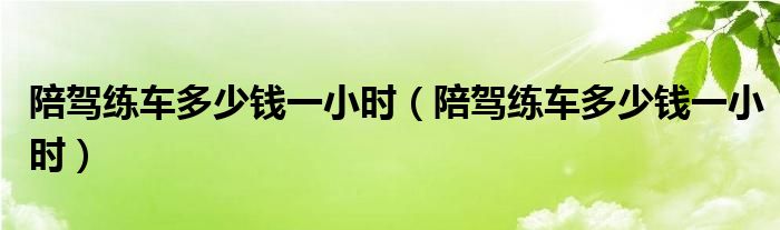 陪驾练车多少钱一小时（陪驾练车多少钱一小时）