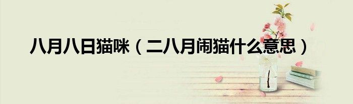 八月八日猫咪（二八月闹猫什么意思）