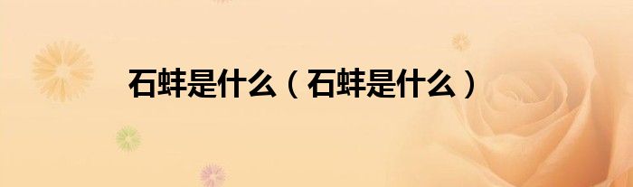 石蚌是什么（石蚌是什么）