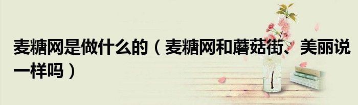 麦糖网是做什么的（麦糖网和蘑菇街、美丽说一样吗）