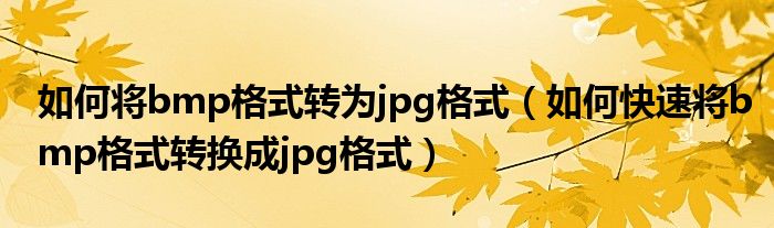 如何将bmp格式转为jpg格式（如何快速将bmp格式转换成jpg格式）