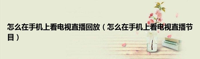 怎么在手机上看电视直播回放（怎么在手机上看电视直播节目）