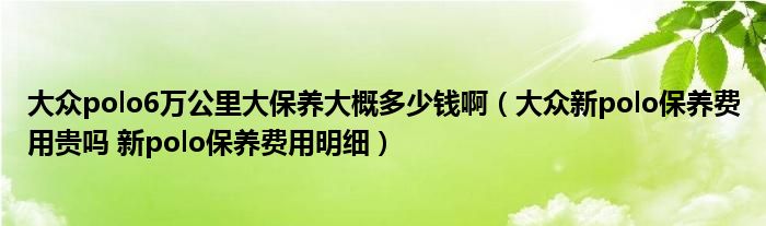 大众polo6万公里大保养大概多少钱啊（大众新polo保养费用贵吗 新polo保养费用明细）