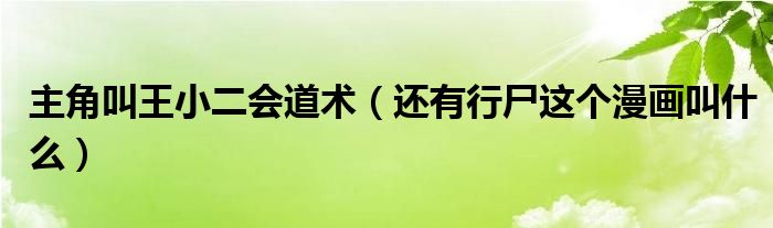 主角叫王小二会道术（还有行尸这个漫画叫什么）