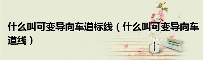 什么叫可变导向车道标线（什么叫可变导向车道线）