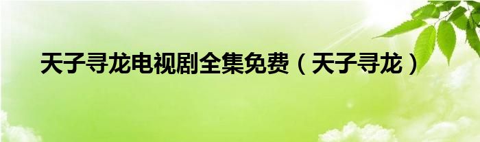 天子寻龙电视剧全集免费（天子寻龙）