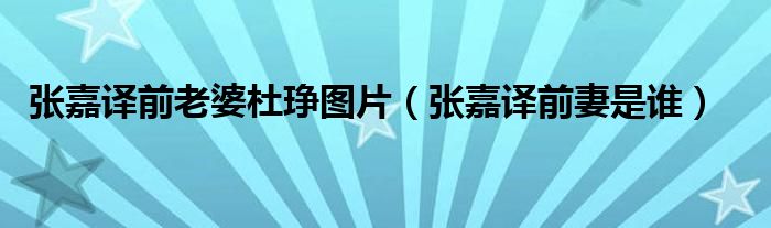 张嘉译前老婆杜琤图片（张嘉译前妻是谁）