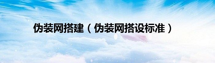 伪装网搭建（伪装网搭设标准）