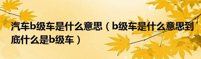 汽车b级车是什么意思（b级车是什么意思到底什么是b级车）